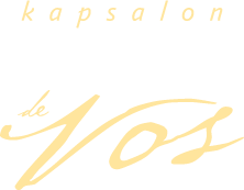 Kapsalon Ida de Vos